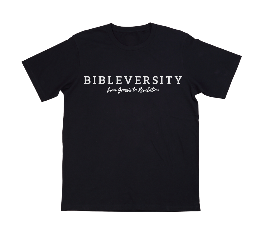 BIBLEVERSITY TEE