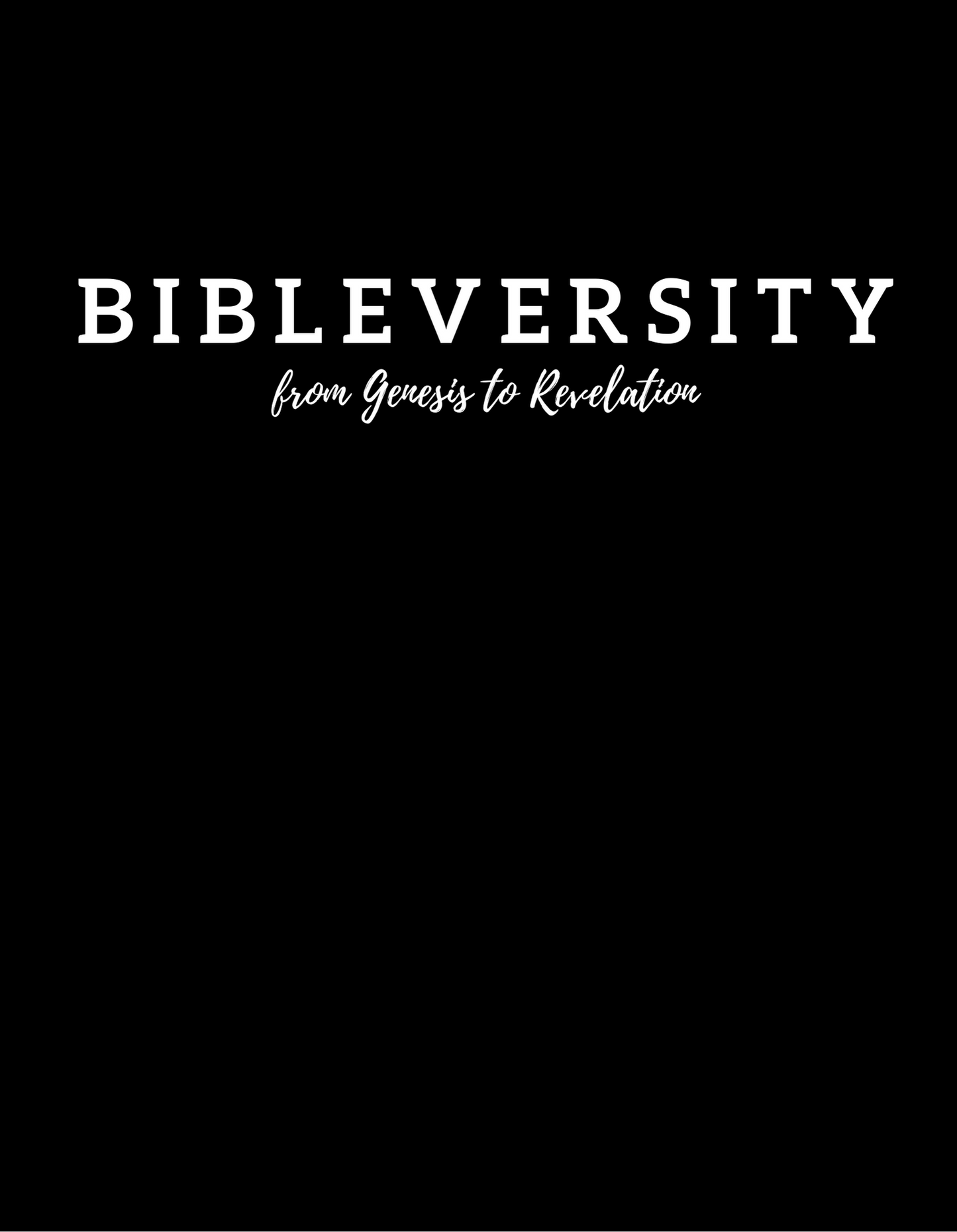 BIBLEVERSITY TEE